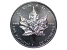 Canadian Platinum Maple